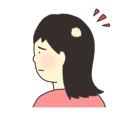 髪の毛が生えてくるサイクル