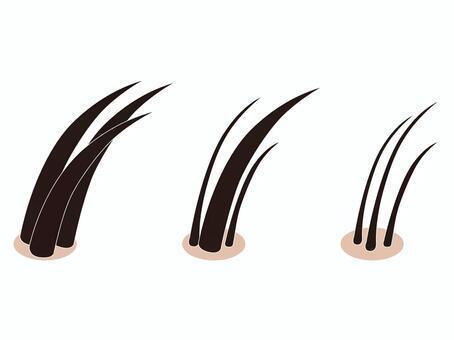 髪の毛が生えてくるサイクル